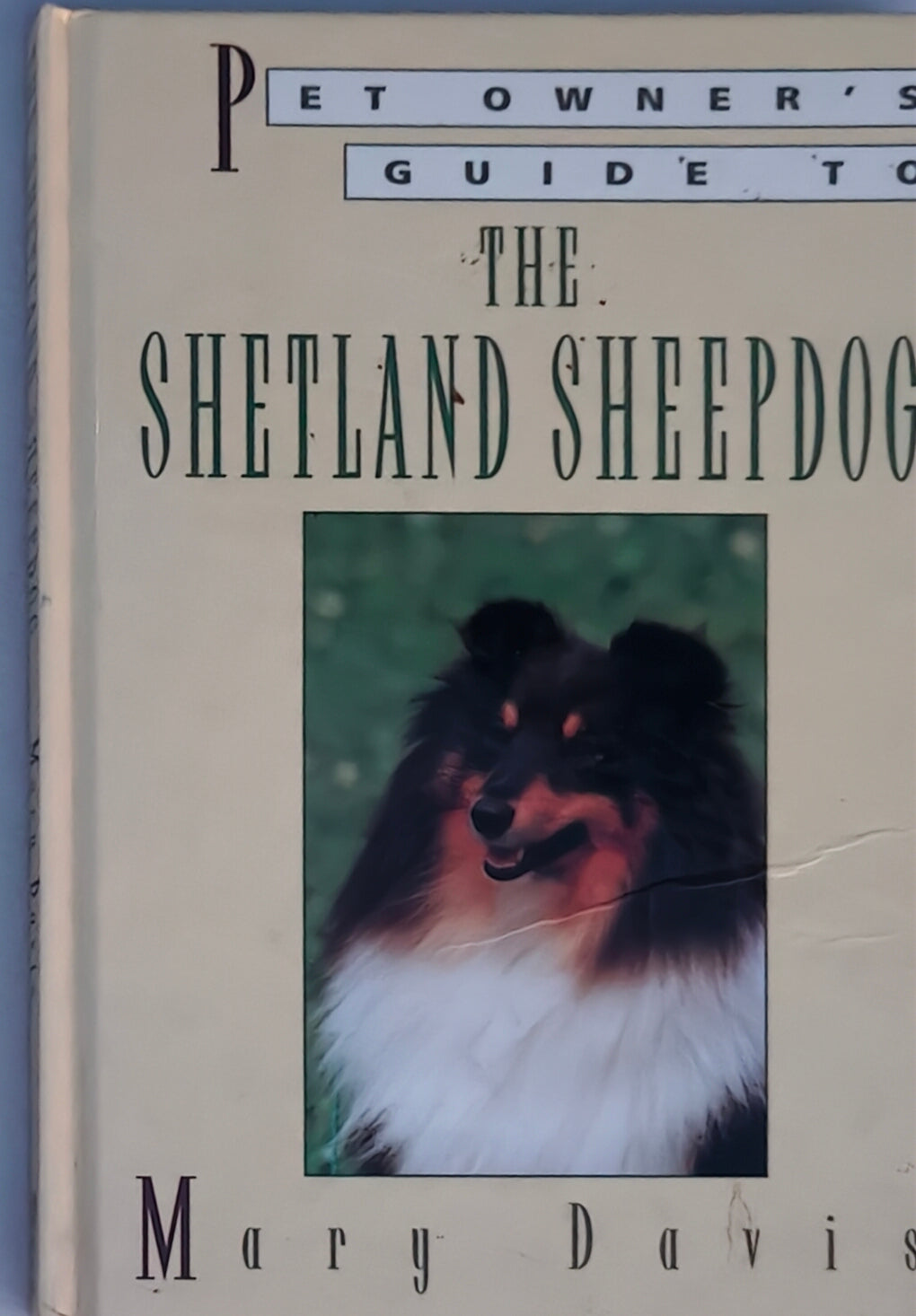 Pet Owner's Guide to the Shetland Sheepdog