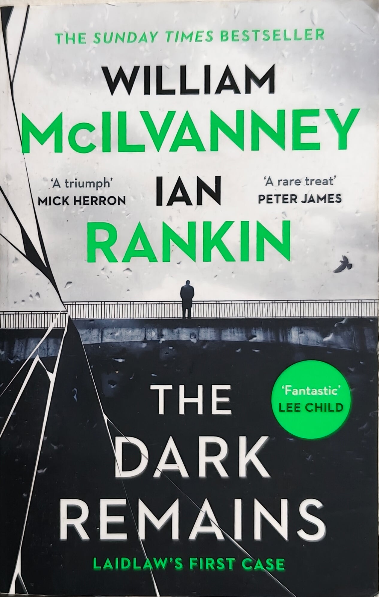 Dark Remains