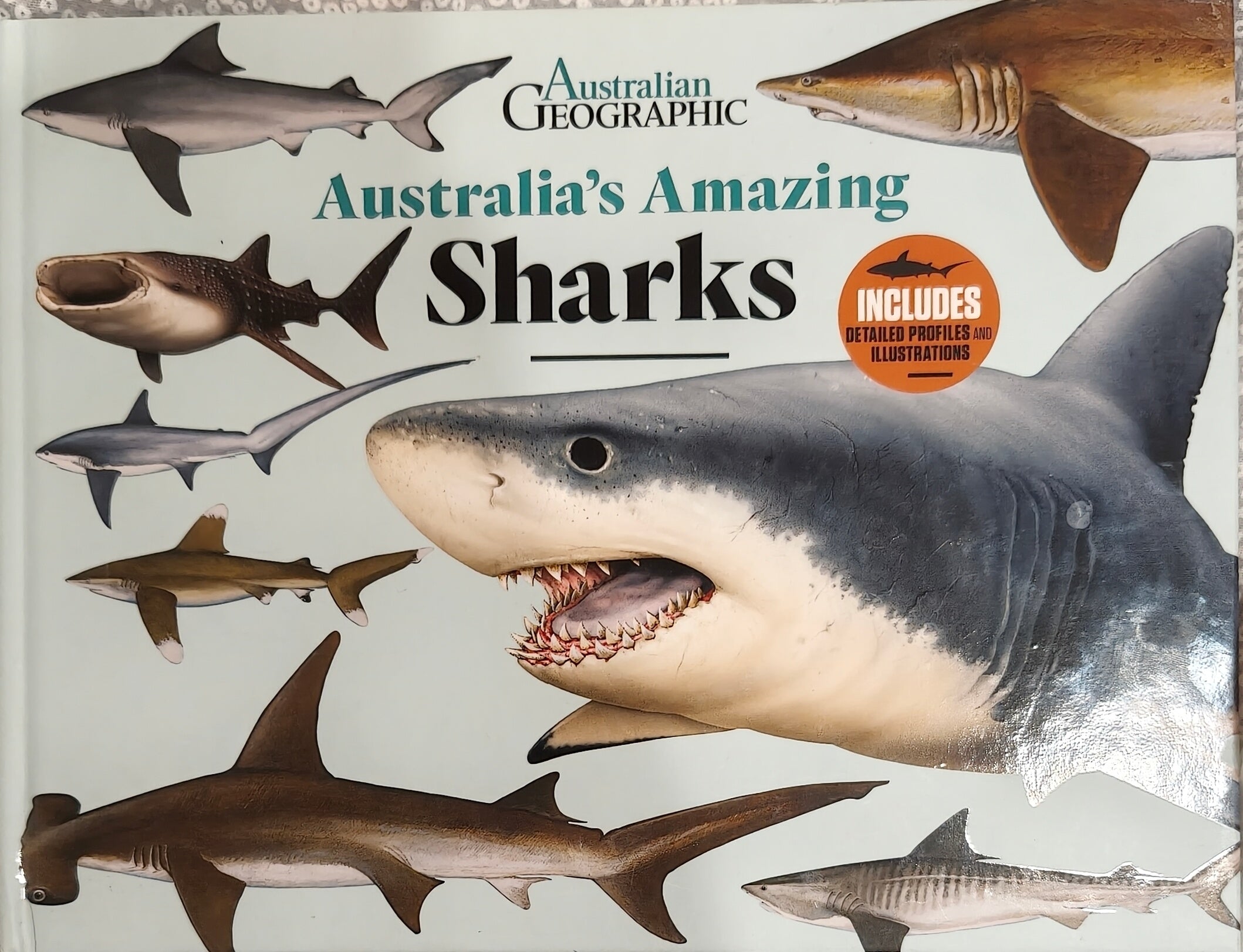 Australia's Amazing Sharks (AUSTRALIA'S AMAZING ANIMALS)
