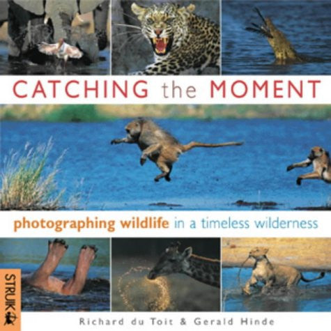 Catching the Moment Photographing Wildlife in a Timeless Wilderness