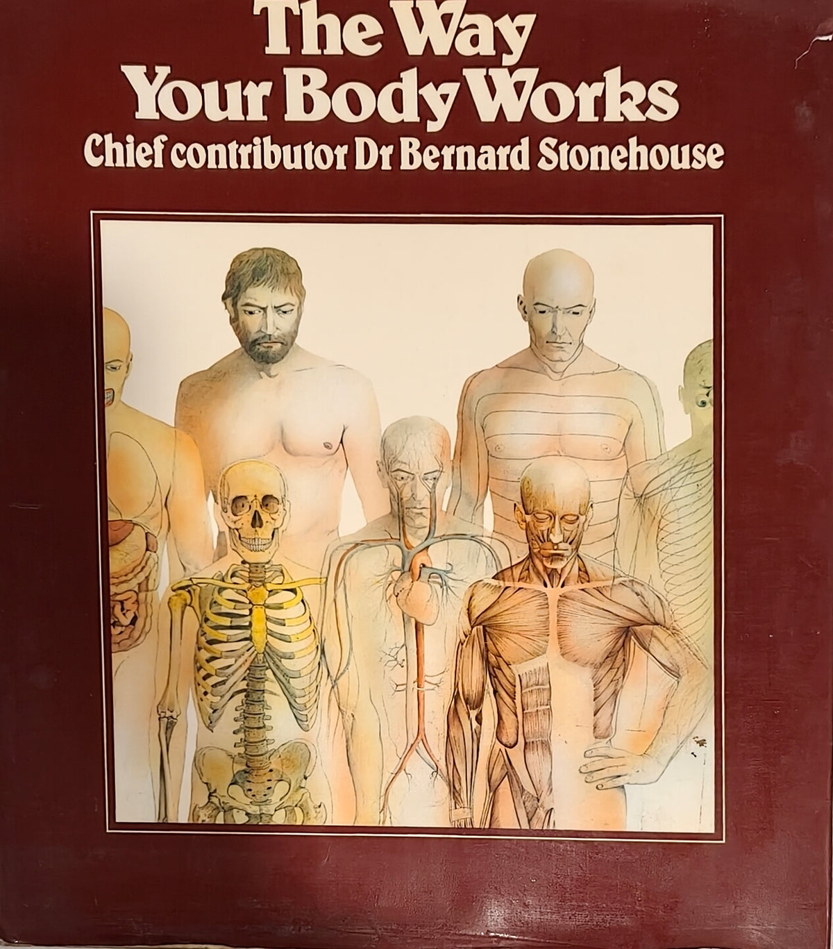The Way Your Body Works