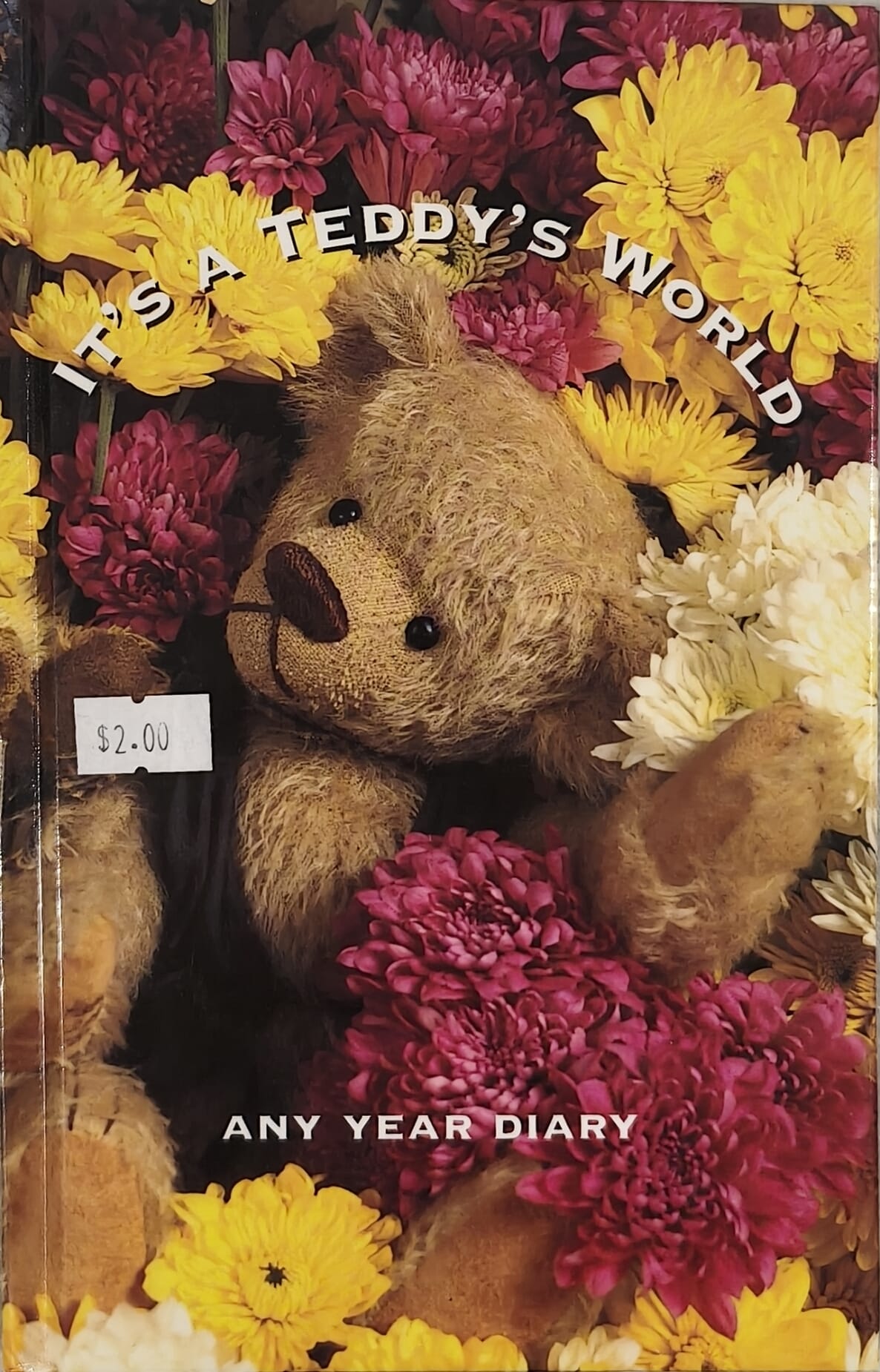 It's a Teddy's World: Any Year Diary