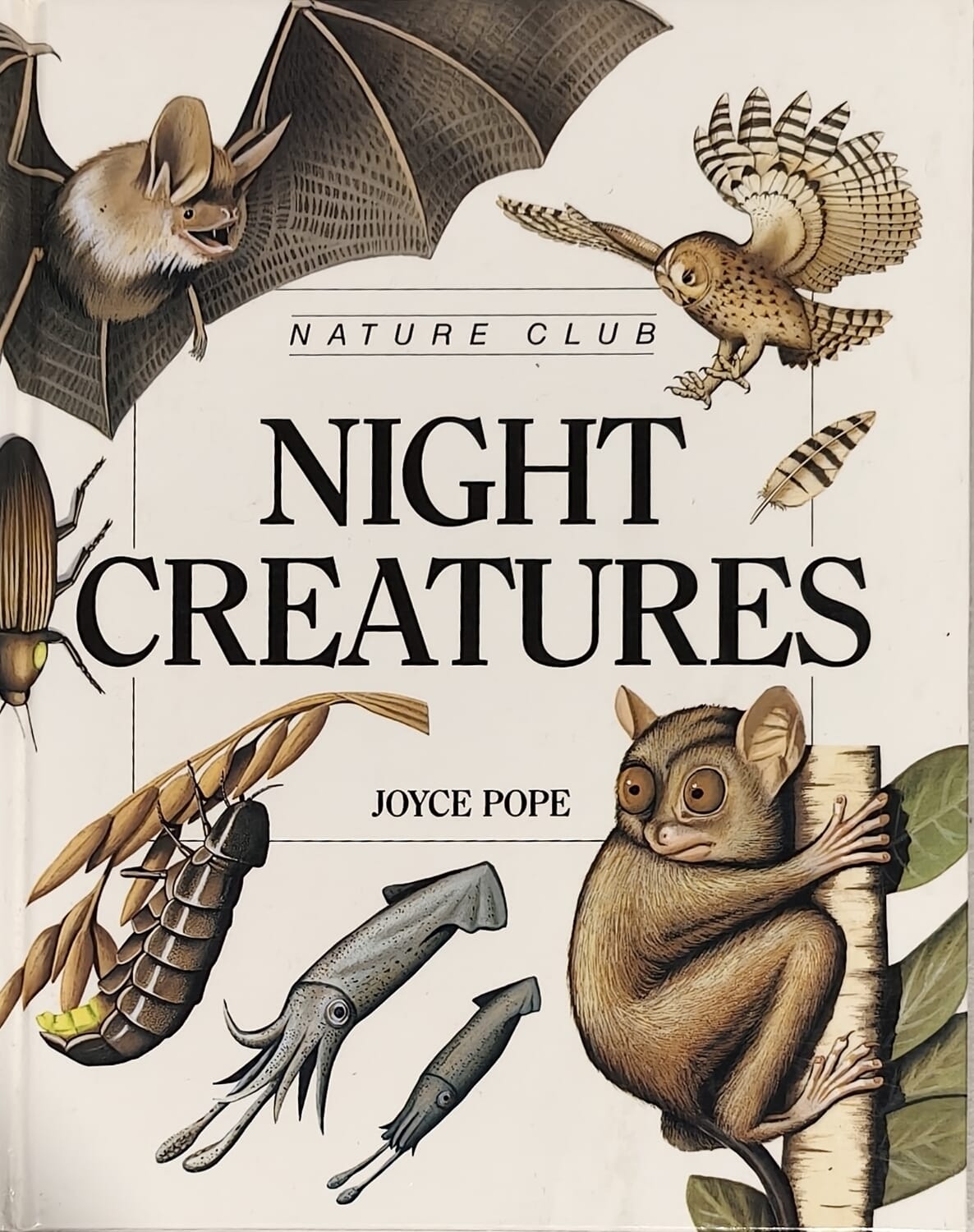 Night Creatures