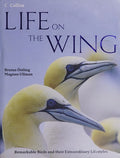 Life on the wing