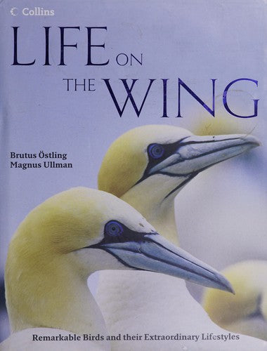Life on the wing